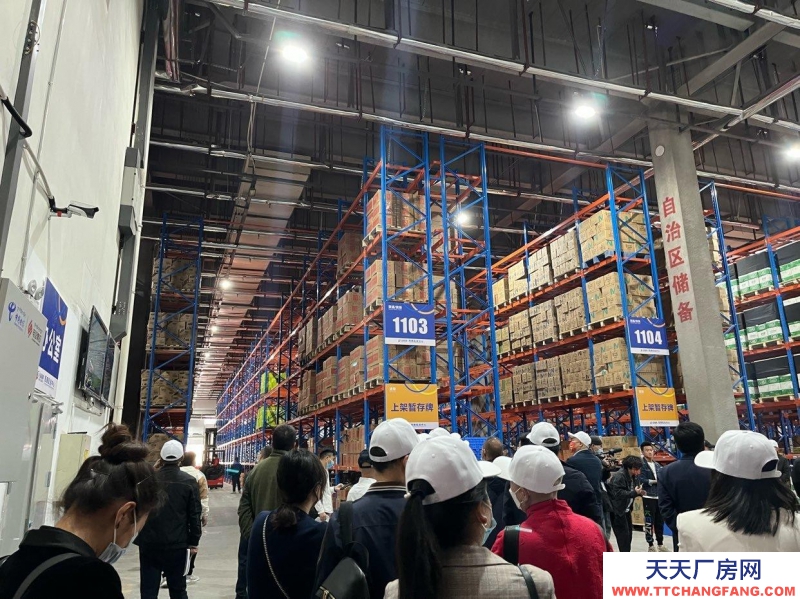 (出租) 拉薩堆龍德慶丙二類消費標準倉庫