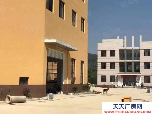 福州市長(zhǎng)樂豆制品廠房 玉田鎮(zhèn) 獨(dú)院廠房出租 交通便利