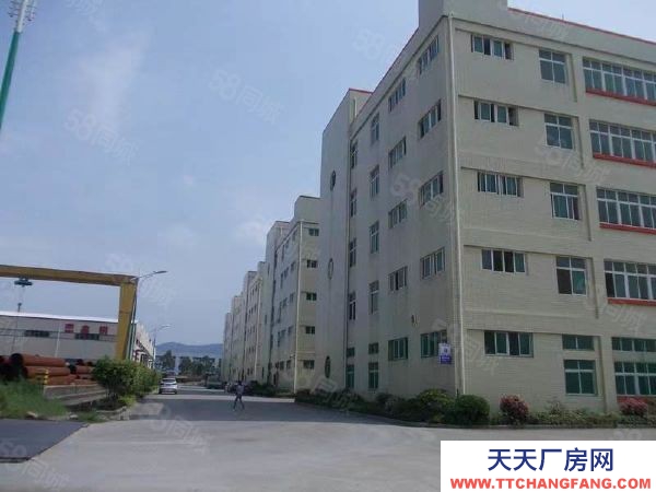 福州市長樂方便食品廠房 里仁工業(yè)園區(qū)大型廠房出租 可分租