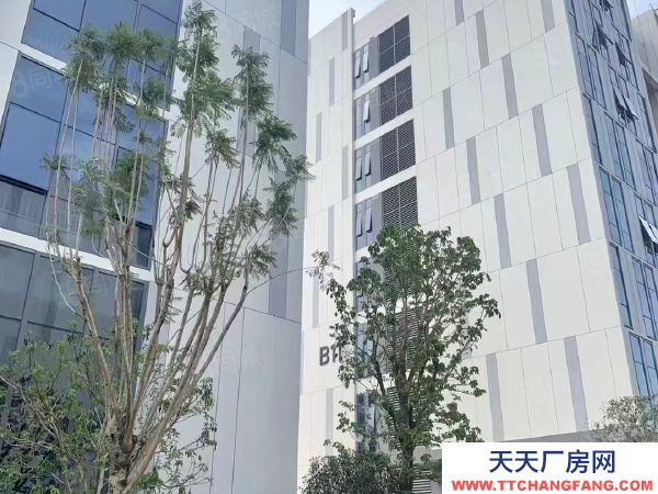 福州市長樂機加工廠房 機場旁全新產業園7.2米層高廠房，50年產權！9月交付