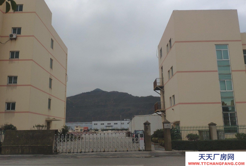 舟山市定海(出售) 位于舟山定海工業(yè)園區(qū)  可可及焙烤咖啡產(chǎn)品