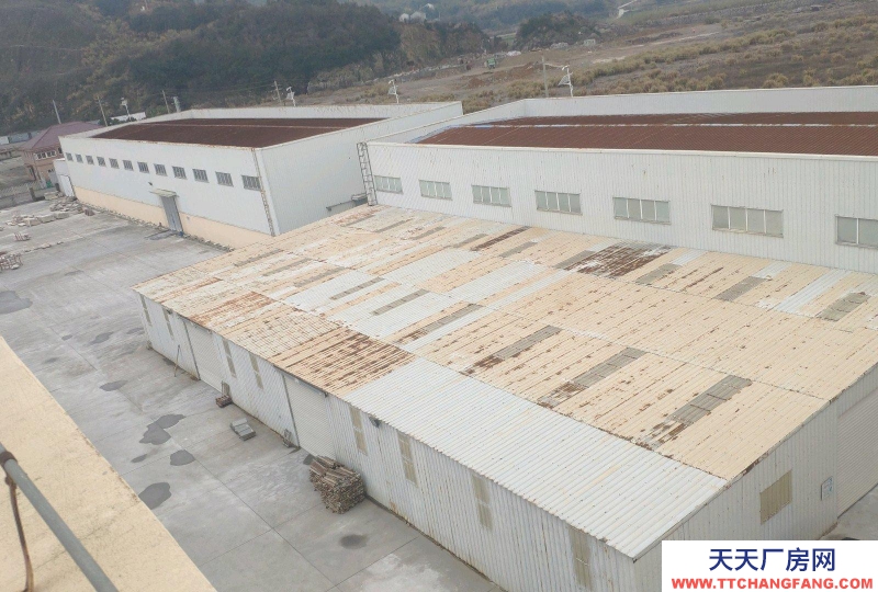 舟山市定海(出售) 位于舟山定海工業園區  可可及焙烤咖啡產品