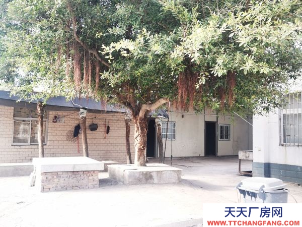 福州市長樂物資倉庫 出租長樂金山空港工業集中區標準廠房，帶有污水處理，可環評！