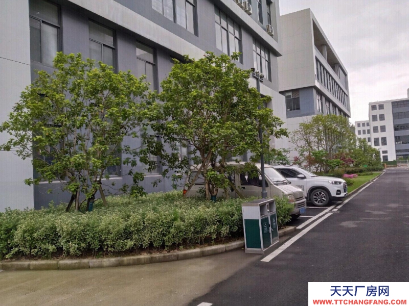 舟山市普陀(出租) 開發(fā)商直租全新標準現(xiàn)廠房500㎡起環(huán)境好交通便利  食糖