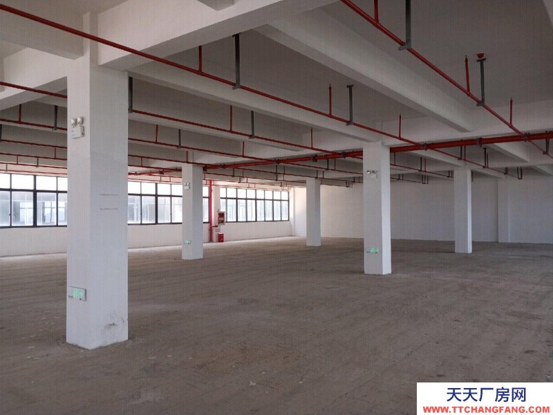 舟山市普陀(出租) 開發商直租全新標準現廠房500㎡起環境好交通便利  食糖