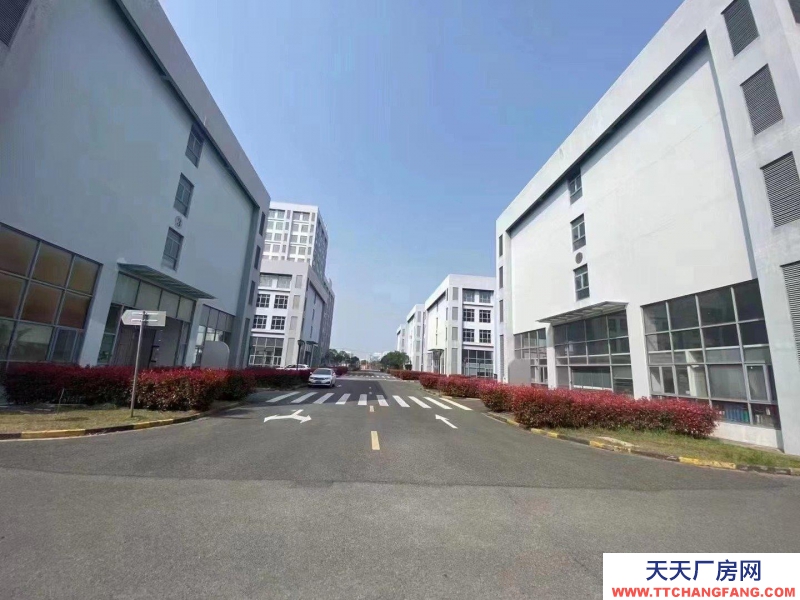 舟山市普陀(出租) 園區(qū)直租小面積廠房500平起可環(huán)評有政策扶持  豆制品