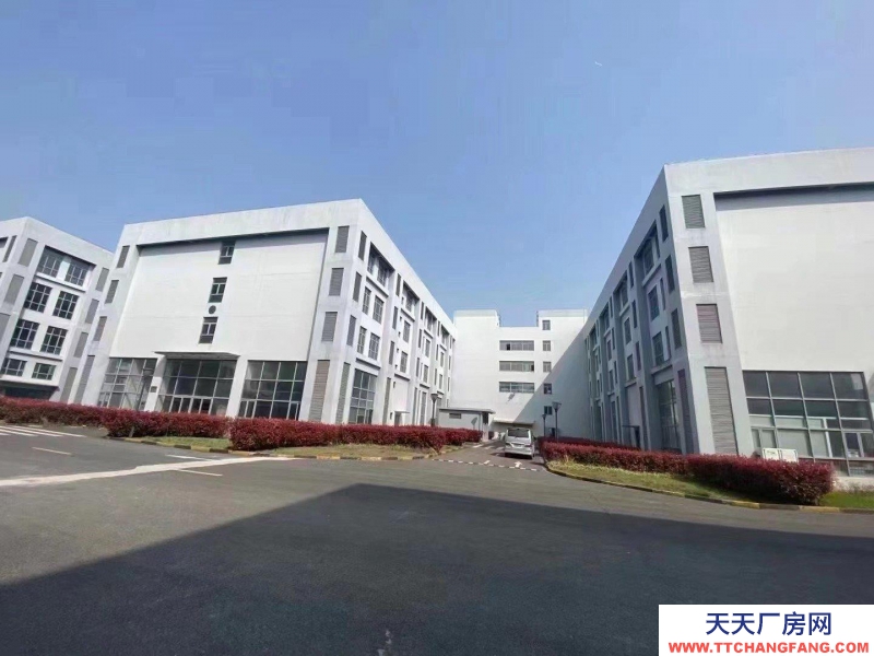 舟山市普陀(出租) 園區(qū)直租小面積廠房500平起可環(huán)評(píng)有政策扶持  豆制品