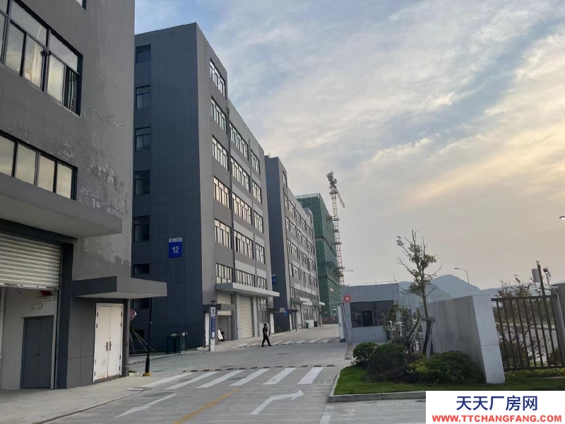 舟山市普陀(出租) 符合定位的企業(yè)，高可減免3年租金    糕點