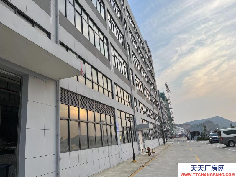 舟山市普陀(出租) 符合定位的企業(yè)，高可減免3年租金    糕點(diǎn)