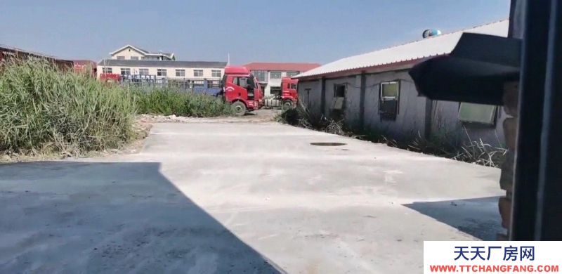 滄州 滄縣 (出租) 滄州東外環經八路旁邊