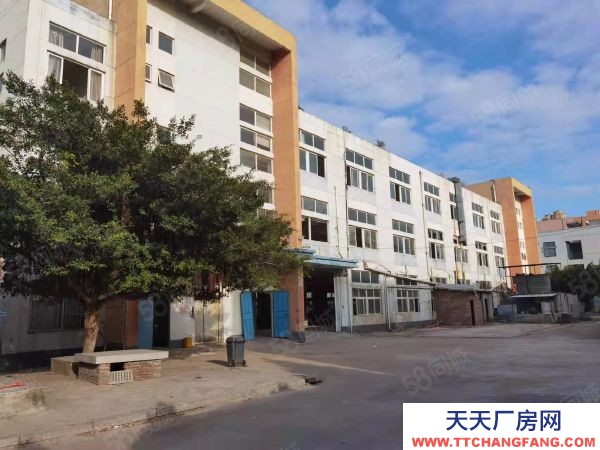 福州市長樂物資倉庫 個人出租長樂金山空港工業集中區標準廠房,污水處理可環評!