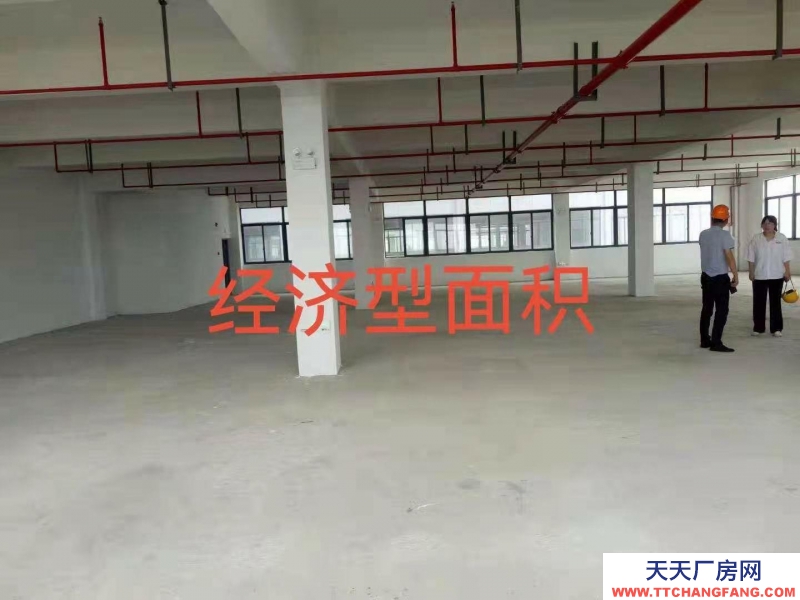 舟山市普陀(出租) 用途廣泛，可做倉庫廠房，環境好，交通便利，環保無憂   紡織，服裝