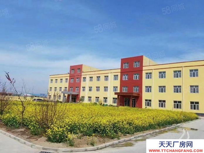 滄州 獻縣預制調(diào)理肉制品廠房 (出租) 證齊全獻縣壘頭鄉(xiāng)東固路6300平辦公樓2600平