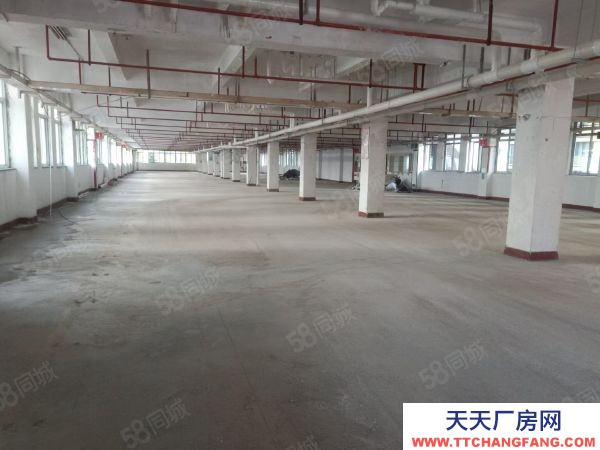 福州市馬尾機加工廠房 海峽高新雙創產業園，招商部直租免中介費