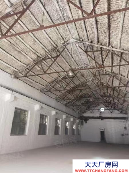 滄州 獻(xiàn)縣 (出租) 獻(xiàn)縣陽光悅城西門500平乳制品廠房出租