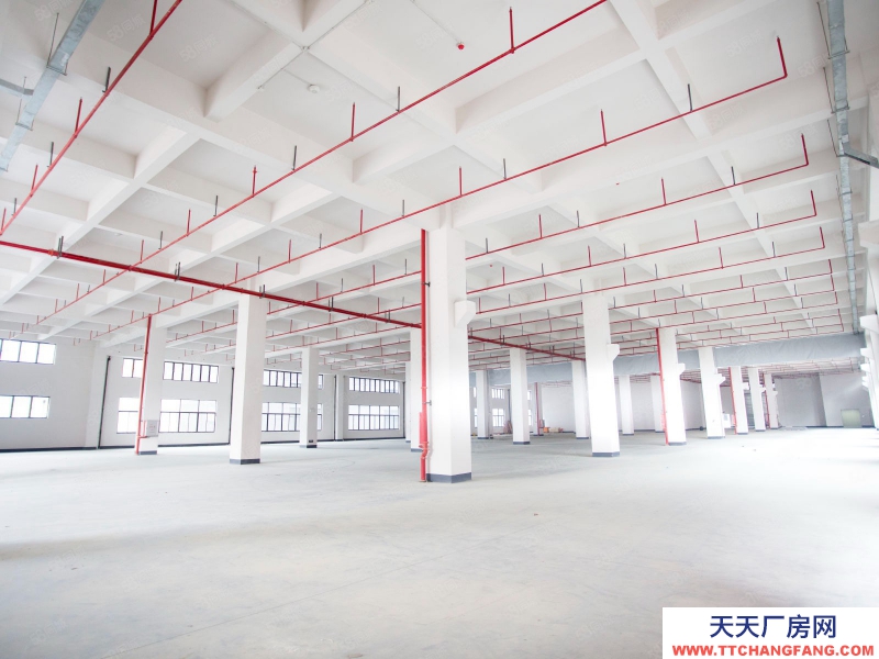 (出租) 廣州白云可分租政府物業，紅本園區全新通用廠房，商事稅務一站辦理可休閑食品加工