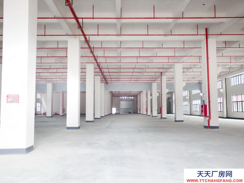 (出租) 廣州白云可分租政府物業，紅本園區全新通用廠房，商事稅務一站辦理可休閑食品加工