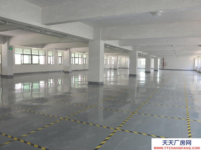 (出租) 廣州白云高標(biāo)7萬方坡道庫，倉庫招租，高速附近，物流園倉庫