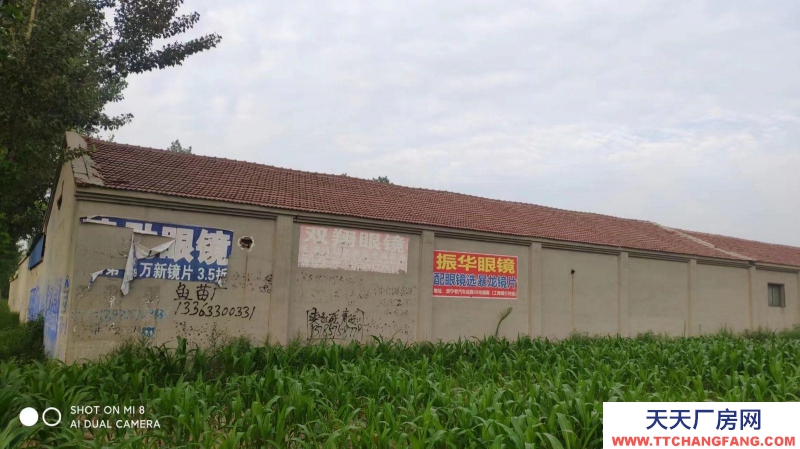 滄州 肅寧(出租) 出租冷加工糕點廠房 非誠勿擾 面議