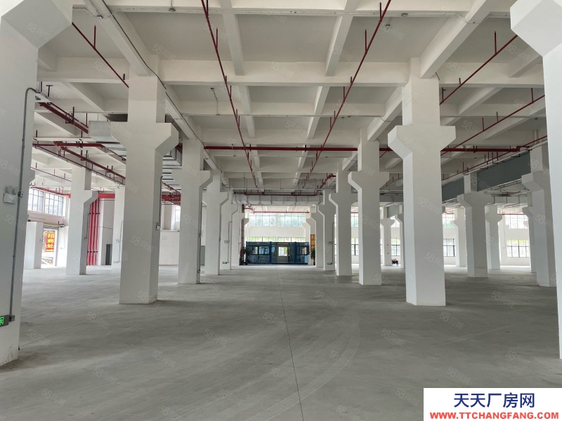 (出租) 廣州白云新建20000平正規(guī)工業(yè)廠房招租紅本證件雨污分流可辦環(huán)評適合五金