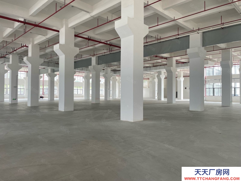 (出租) 廣州白云新建20000平正規工業廠房招租紅本證件雨污分流可辦環評適合五金