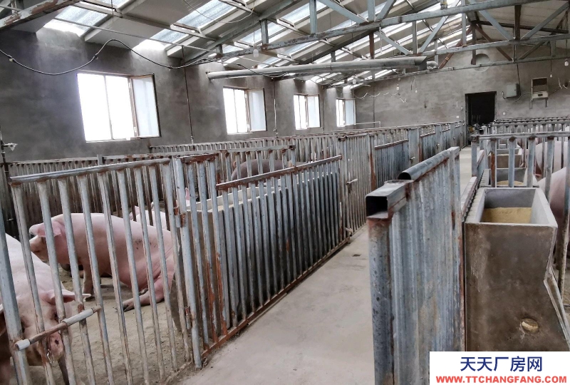 (出售) 鄂爾多斯小豬場，三相電，機井，化糞池，電暖，監控。可改工廠等。