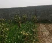 (出租) 駐馬店遂平幸福里西側(cè)，交通便利