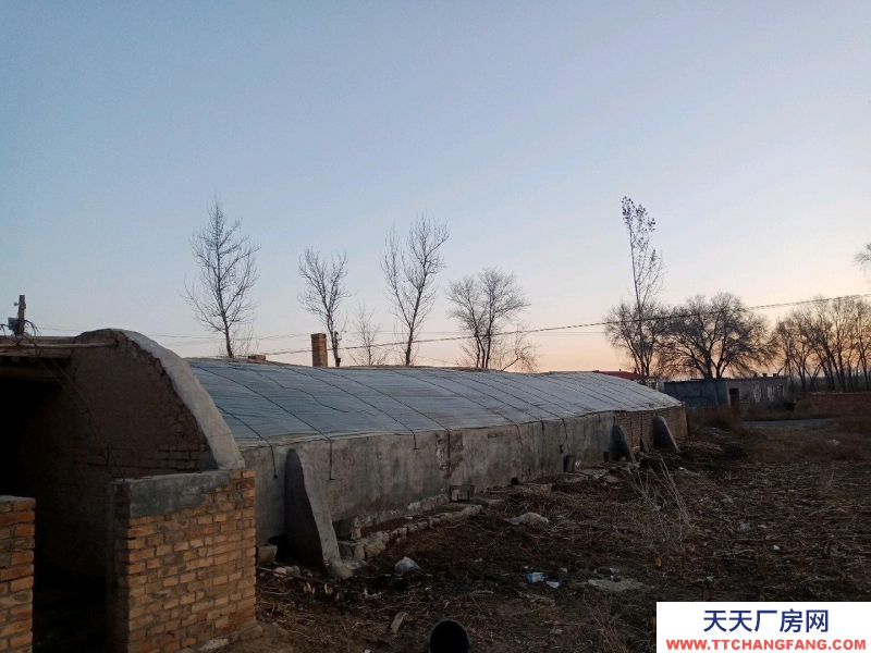 (出租) 鄂爾多斯養豬場轉租，有固定客戶。。