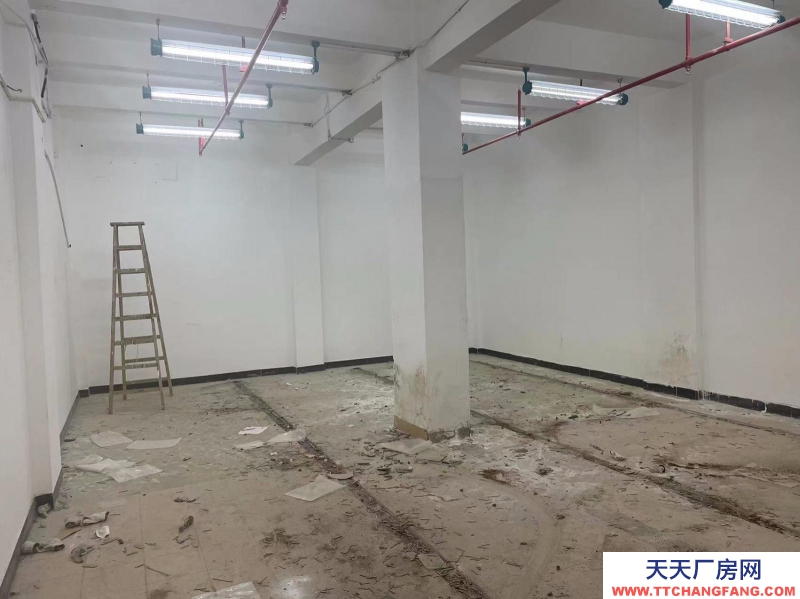 (出租) 廣州越秀東風(fēng)東路國有資產(chǎn)出租物資倉庫