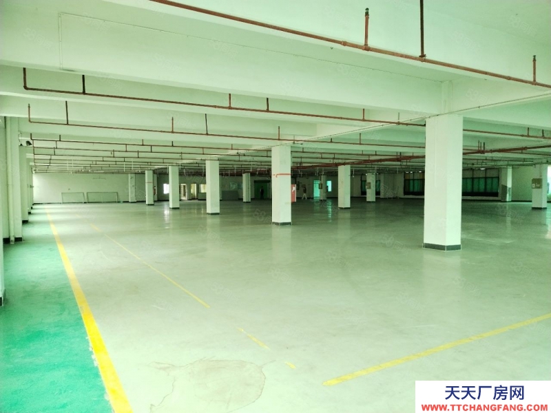 (出租) 廣州增城新塘鎮(zhèn)6000平米電商倉庫招租