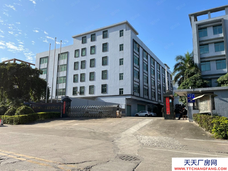 (出租) 廣州增城新塘鎮6000平米電商倉庫招租