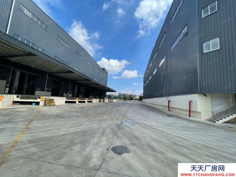 (出租) 廣州增城開發(fā)區(qū)丙二類消防高標(biāo)準(zhǔn)物流倉庫