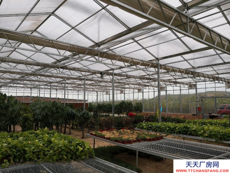(出售) 鄂爾多斯1000余平米智能日光溫室