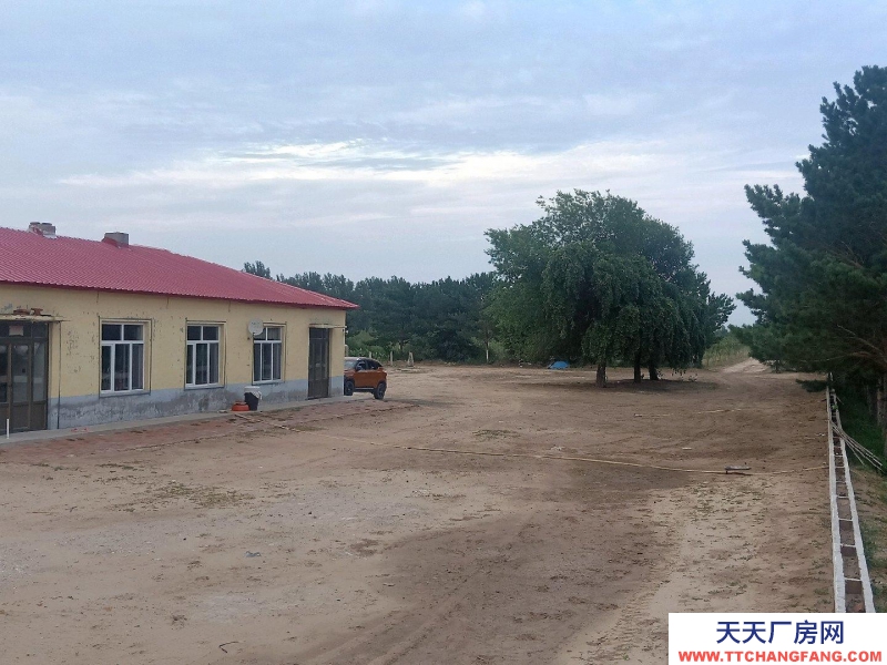 (出售)通遼 734畝種養(yǎng)殖基地出售