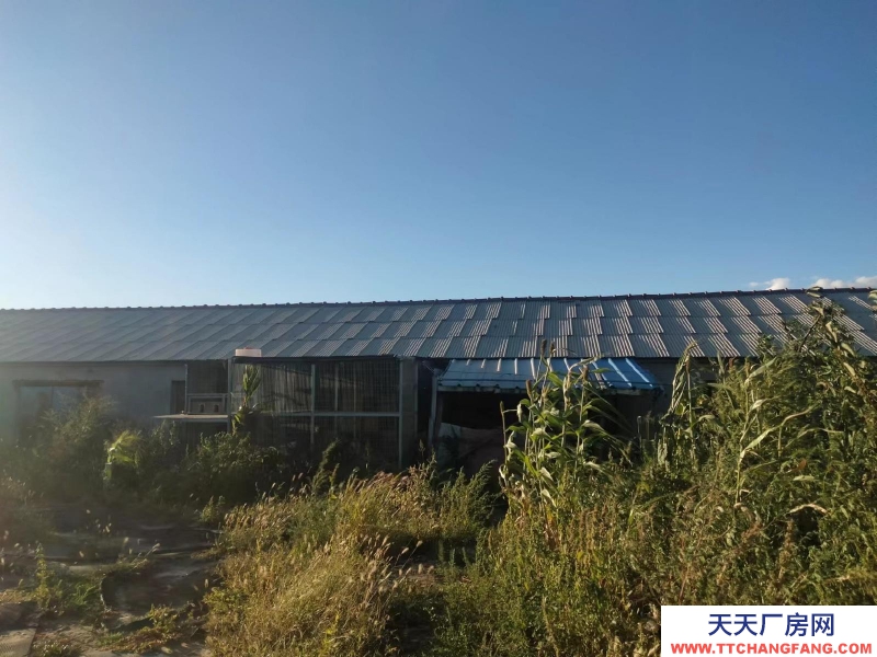 (出租)通遼 3000千平大院出租出售