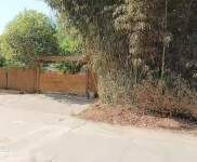 (出租) 漯河郾城農家小院 獨院 倉庫 郊區辦公 高速漯河北站附近