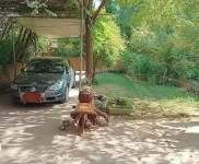 (出租) 漯河郾城農家小院 獨院 倉庫 郊區辦公 高速漯河北站附近