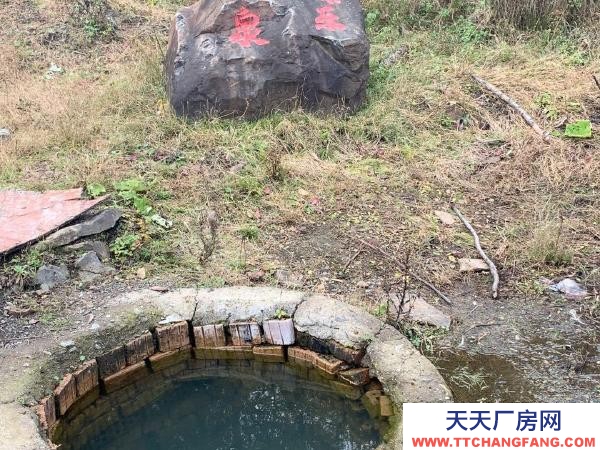 嶺東出售養殖場，環境優美，空氣清新