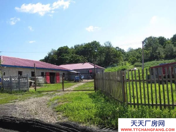 寶清家庭農場羊圈出租、出售