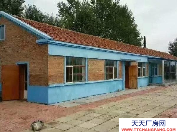 薩爾圖自家小院精心修飾急用錢(qián)出售,自家小院精心打理急用錢(qián)出售