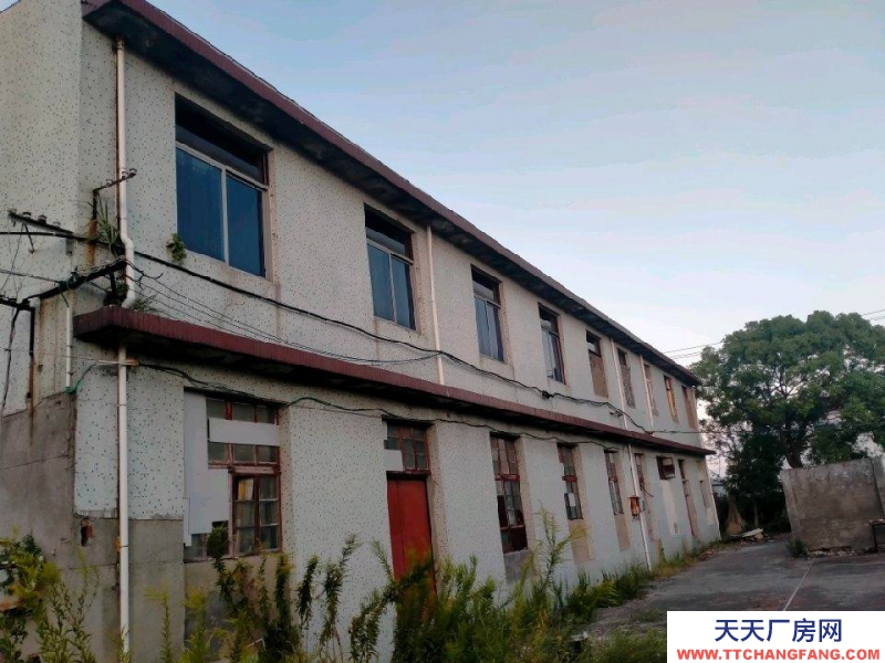 舟山市岱山(出租) 樓上4百平米通間也可隔斷，樓下4百平米，