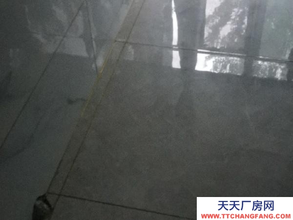 薩爾圖新村新瑪特附近多面積倉庫庫房出屋