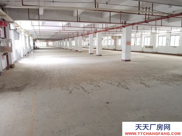 福州市馬尾物資倉庫 房東直租倉庫,馬尾中心位置,交通便利