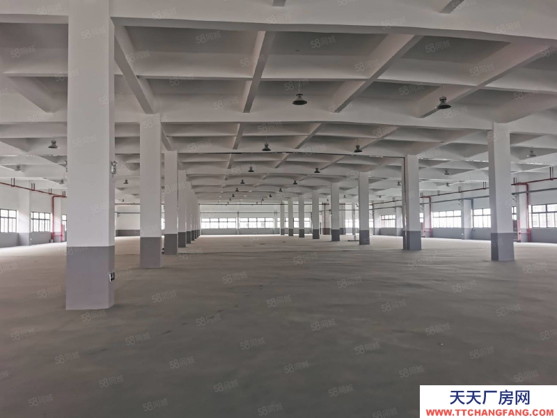 臺州市椒江(出租) 單門獨院出租濱海工業園區(一樓1200 平高度7.5米) 蛋制品