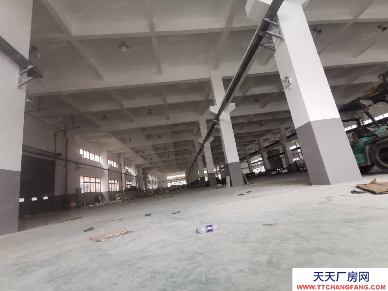 臺州市椒江(出租) 單門獨院出租濱海工業園區(一樓1200 平高度7.5米) 蛋制品