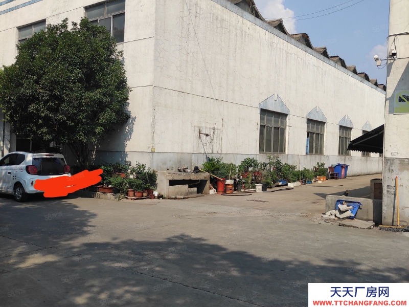 (出租) 常州天寧東青標(biāo)準(zhǔn)廠房1100平米3噸行車適合機(jī)械加工