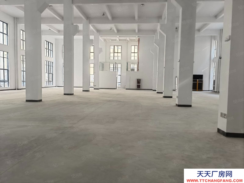 臺州市椒江(出租) 急租精裝修廠房楓南路全新獨棟15層，無行業要求形象好