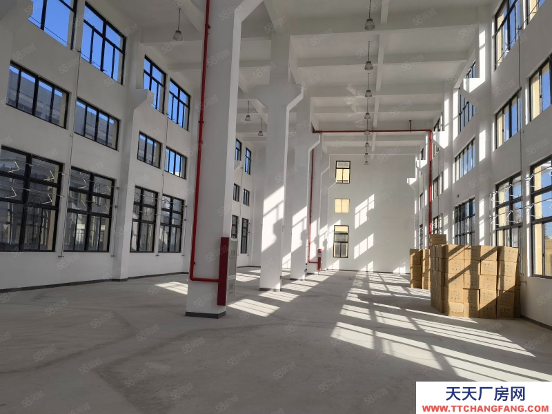 臺州市椒江(出租) 急租精裝修廠房楓南路全新獨棟15層，無行業要求形象好