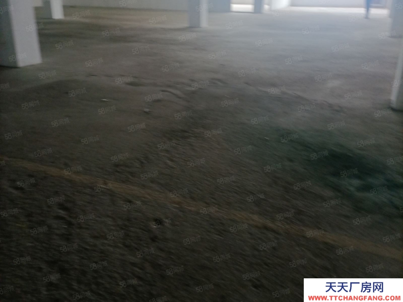 臺州市椒江(出租) 出租洪家倉庫二樓1300平，混泥土結(jié)構(gòu)，可分割，價格便宜