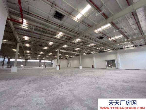 臺州市椒江(出租) 出租集聚區(qū)全新標準物流倉庫有高臺大車進出方便